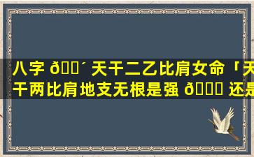 八字 🐴 天干二乙比肩女命「天干两比肩地支无根是强 🐋 还是弱」